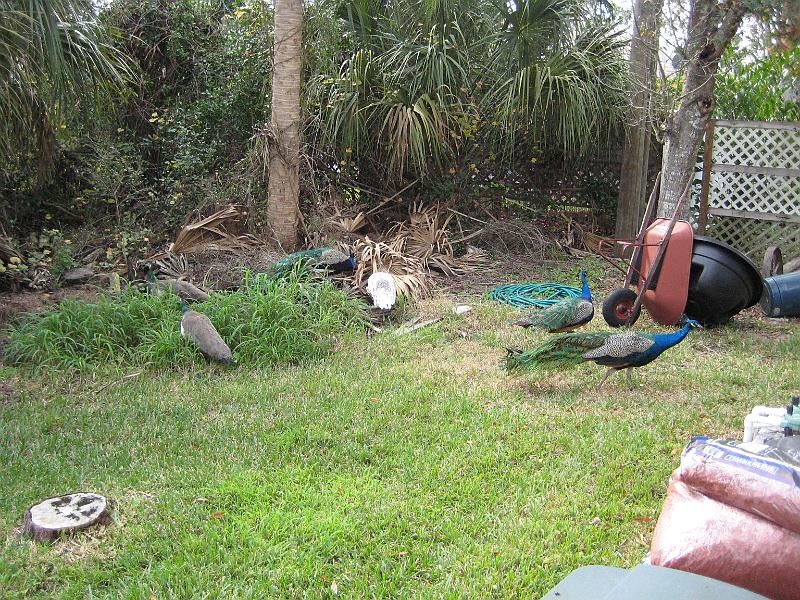 Picture 037